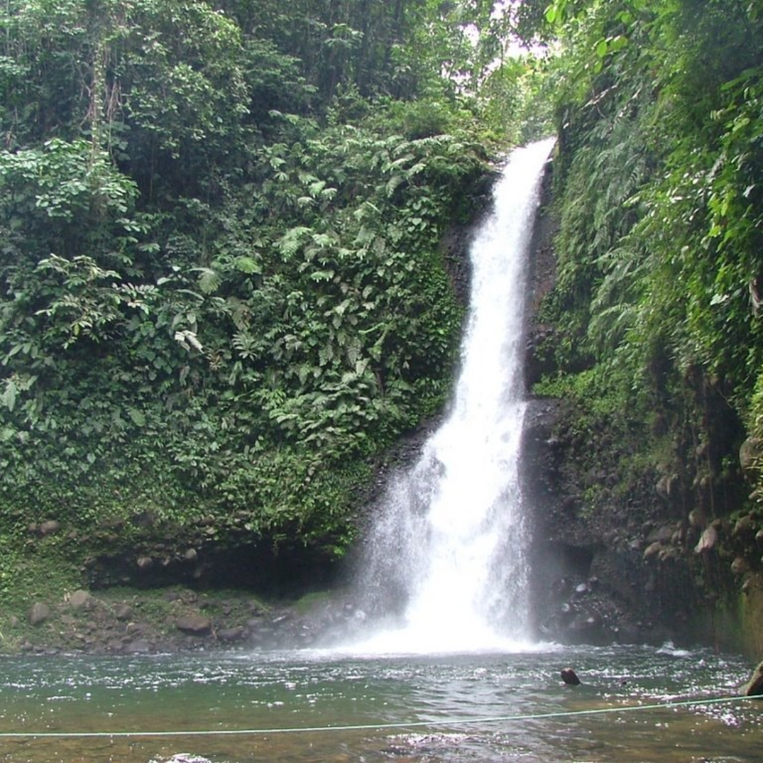 Solsticio de Conexión Consciente Puerto Quito - Imagen 7